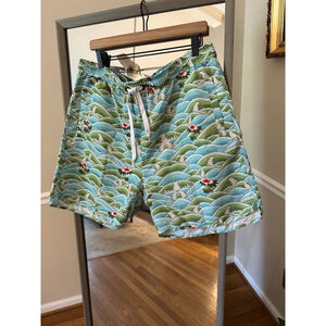 Men's Novamen Swim Trunks Shorts Size Unknown Blue Green
